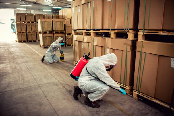 Best Cockroach Control Services  in Brush, CO
