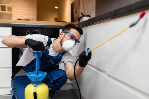 Best Termite Control Services  in Brush, CO