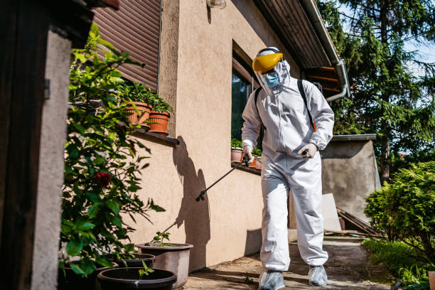 Best Pest Control for Homes  in Brush, CO