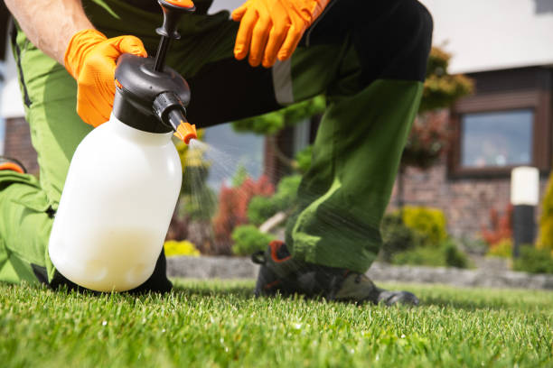 Flea Control Services in Brush, CO