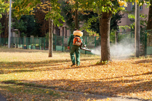 Wildlife Control Services in Brush, CO