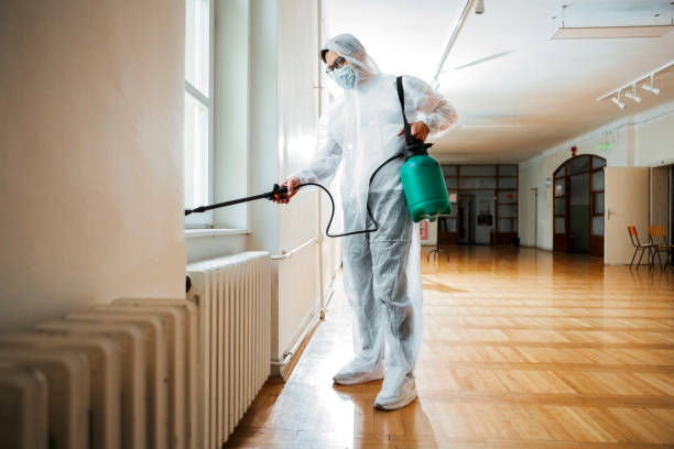 Best Flea Control Services  in Brush, CO