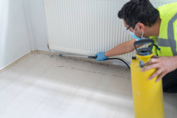 Best Pest Prevention Services  in Brush, CO