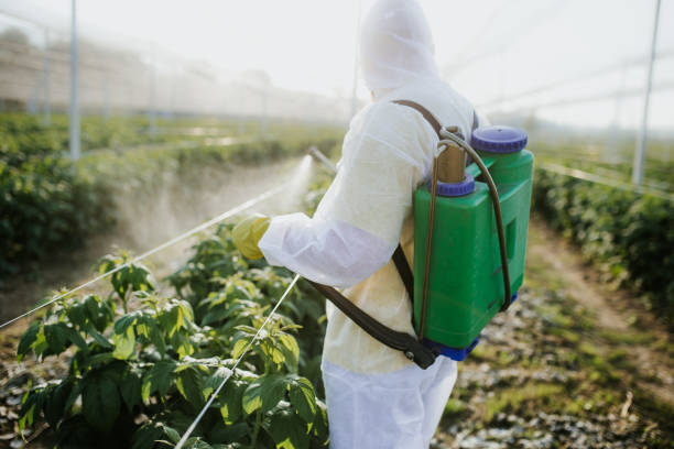 Best Best Pest Control Companies  in Brush, CO